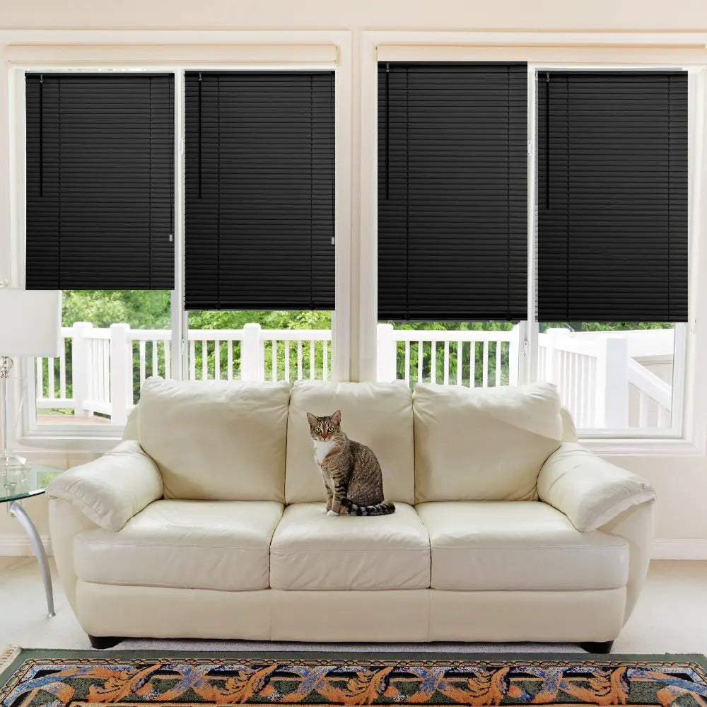 window plastic blinds